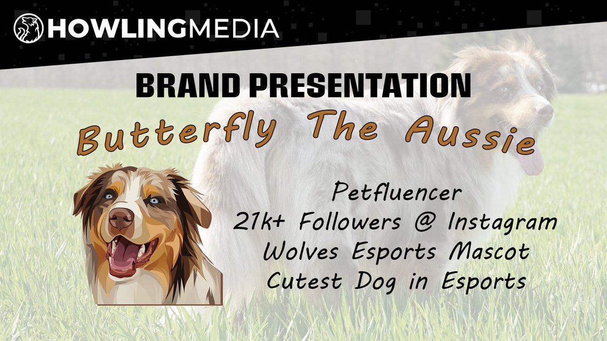 🇩🇪 Neben unseren Dienstleistungen und Wolves Esports haben wir noch etwas anderes zu bieten: Butterfly, den Petfluencer :)

🇬🇧 Next to our services and Wolves Esports we have something else to offer: Butterfly, the Petfluencer :)

His Instagram: instagram.com/butterfly_the_…