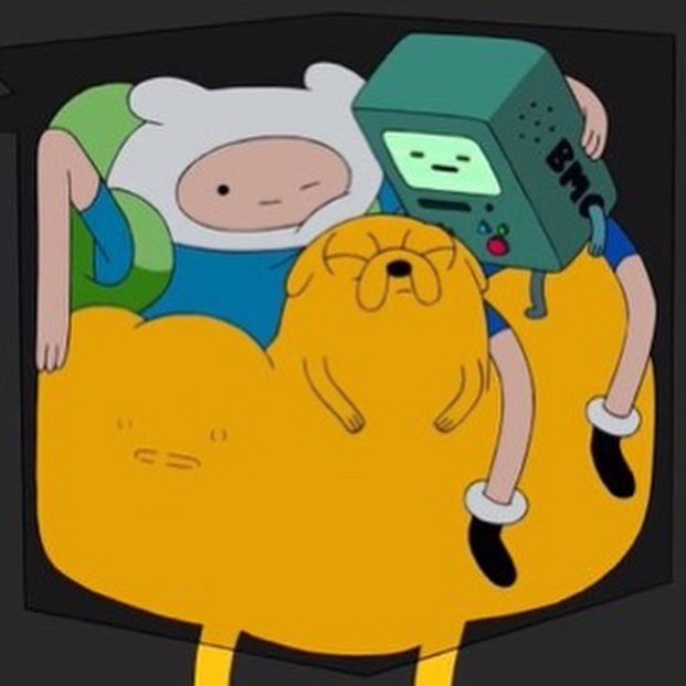 sophia ren tweet media