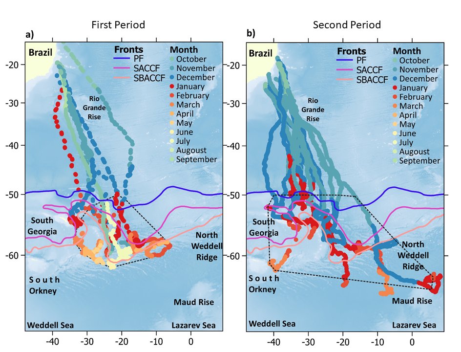 Luis Bedriñana Romano🌳 tweet media
