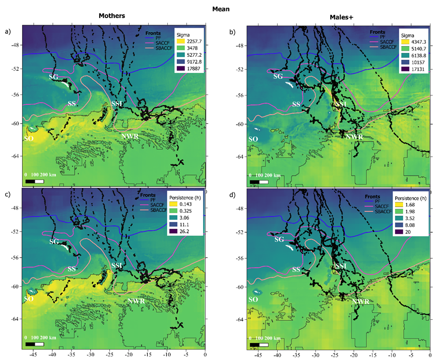 Luis Bedriñana Romano🌳 tweet media