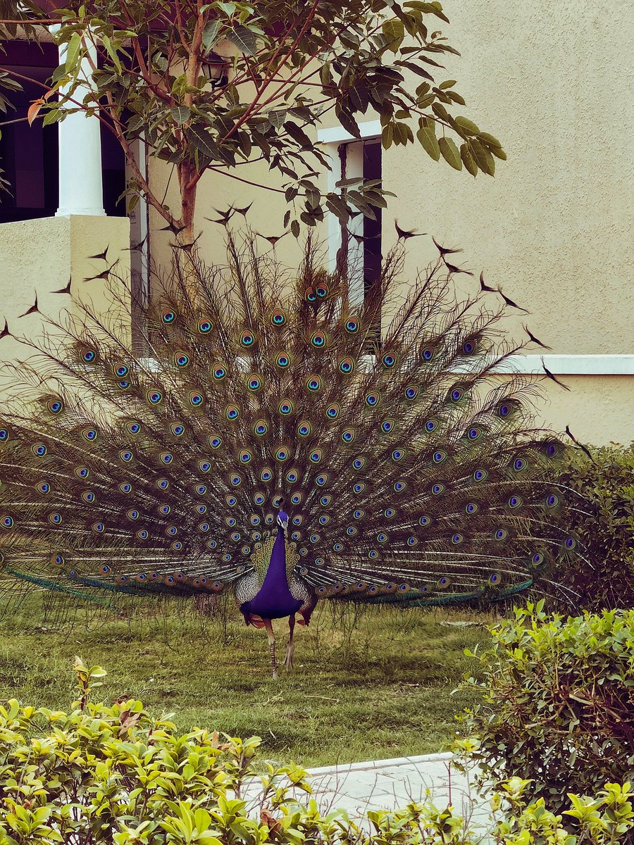Daily reminder : There is joy in little things, just look around you 💕

#MentalHealthAwarenessWeek #MentalHealthMatters #TakeCareOfYourself
