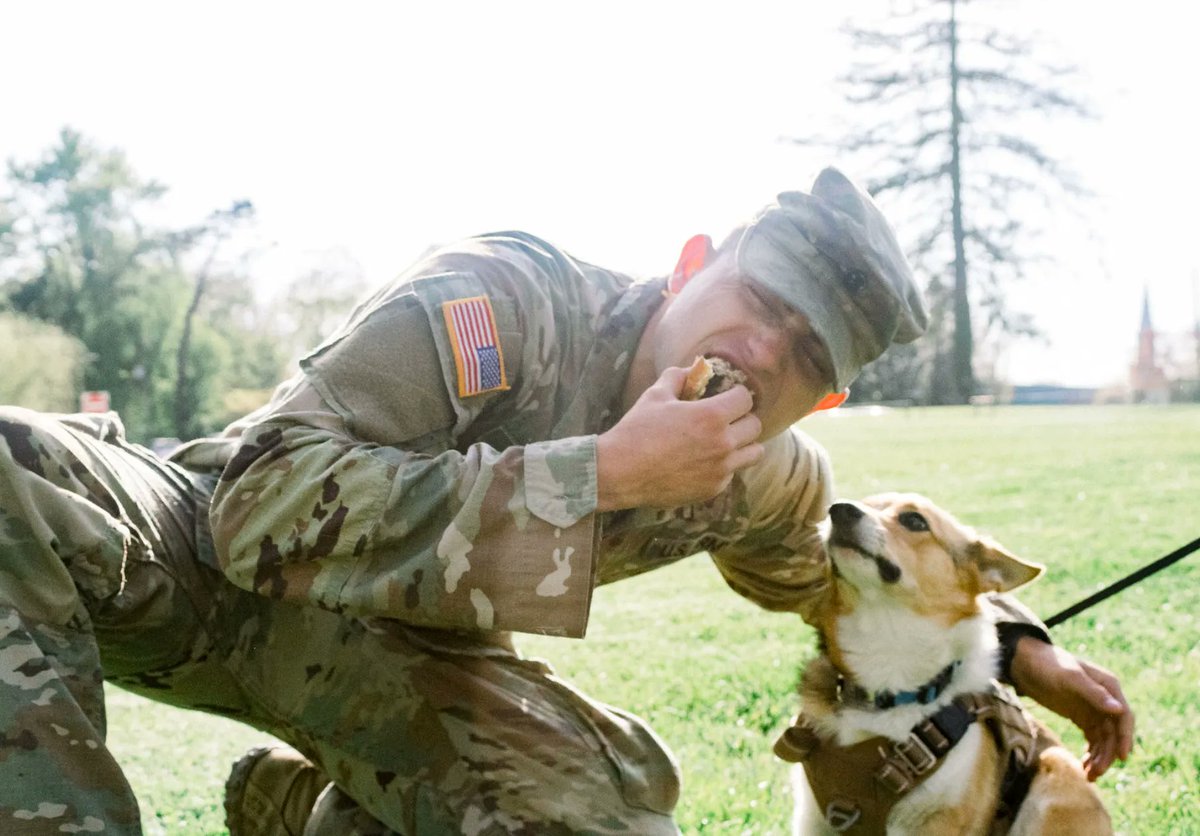 DauntlessROTC's tweet photo. Last week, Charlie Company held an end of semester picnic (featuring a special visit from everyone's favorite corgi, Scout!) to celebrate all the hard work these cadets have put in this past semester! To the Charlie cadets: good luck on finals this week! https://t.co/vwNCnQ4GNx