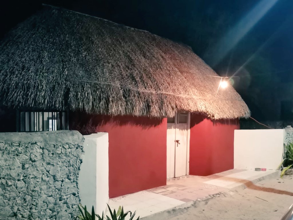 rolando 🌴 tweet media