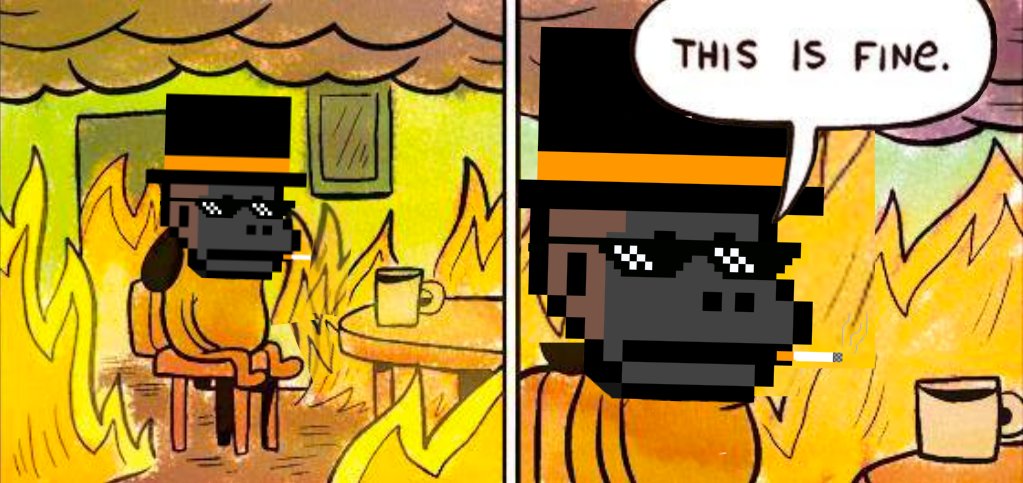 Monkey Republic tweet media