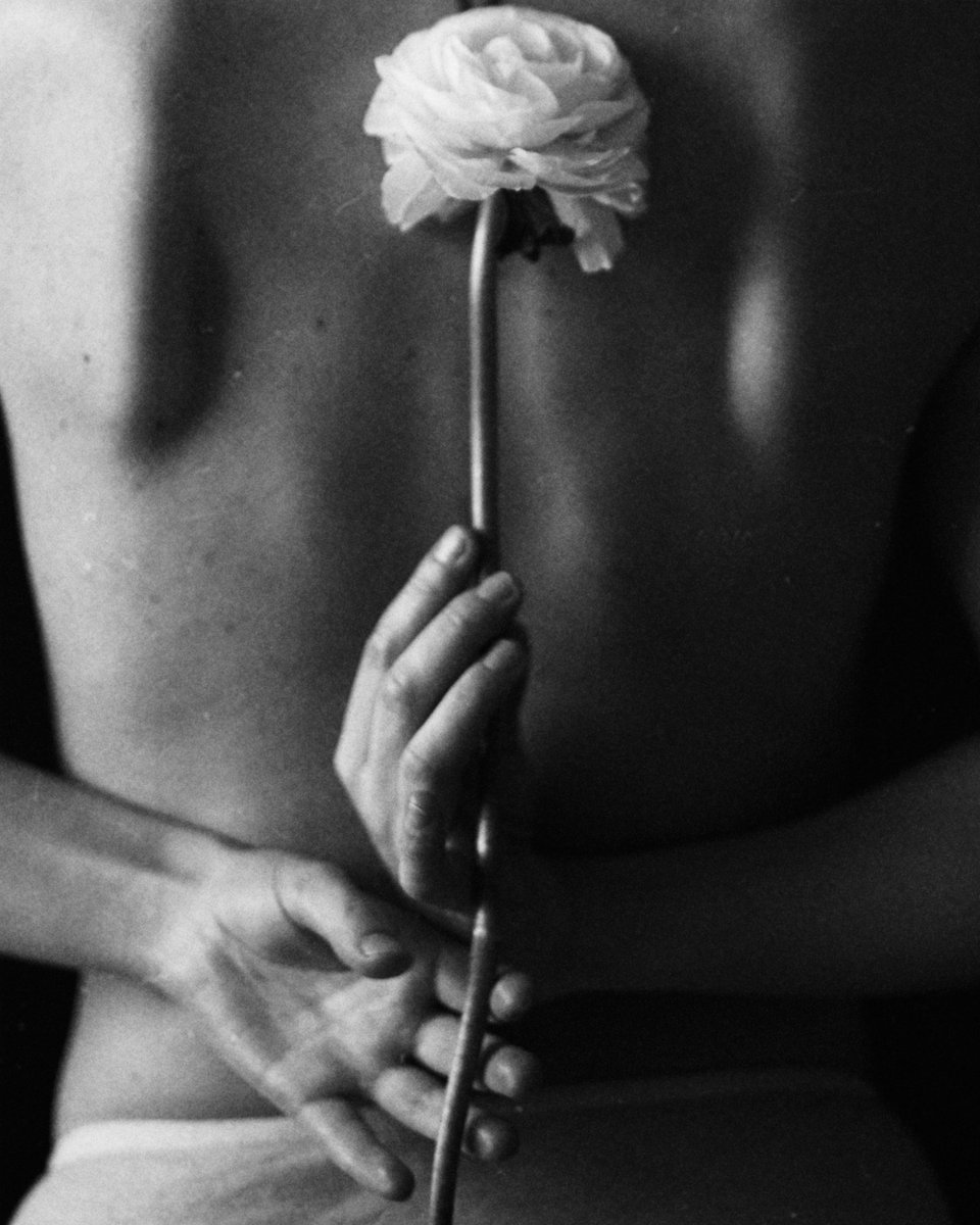 sh_reit's tweet photo. This is a story about two personalities coexisting in every person, called

      “How Did We Get So Dark”

8 pieces collection divided into two parts “Passion, Pain &amp; Demon Slayin'/Porcelain” 

Which are, in some way, reflect ourselves. Welcome 🖤

https://t.co/ddH9WOQkSz https://t.co/DfVxBmJHfh