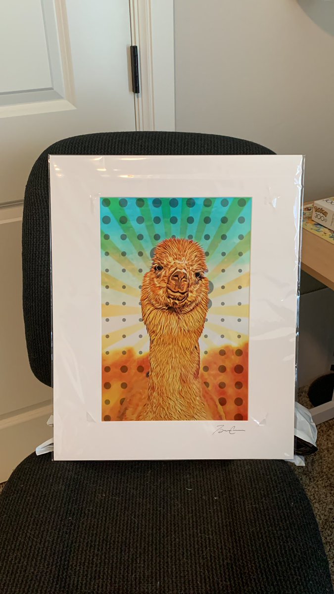 HAHAHAHA!!! I got my disco llama in the mail today! I love it so much.