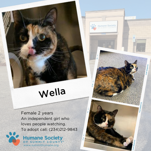 Humane Society of Summit County tweet media