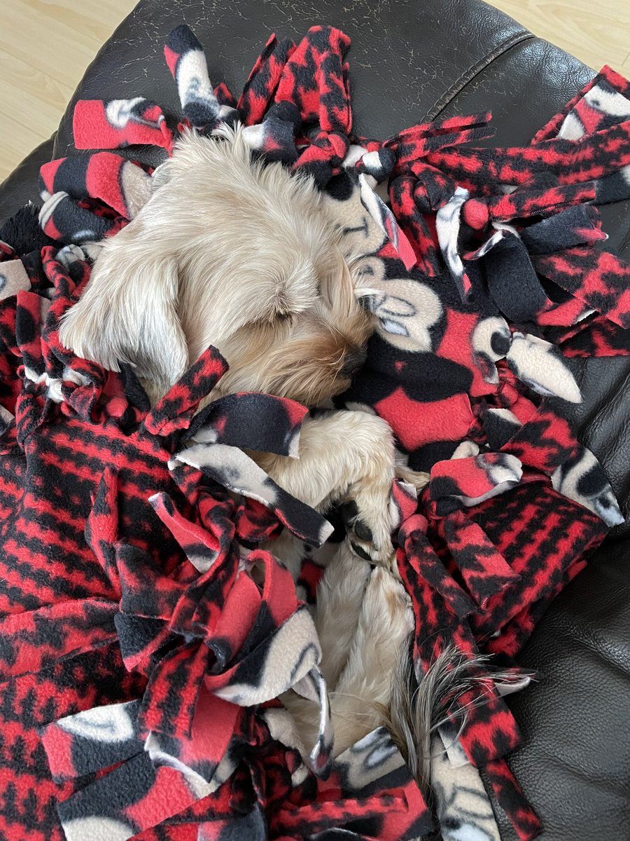 Red Socks Go With Absolutely Anything tweet media