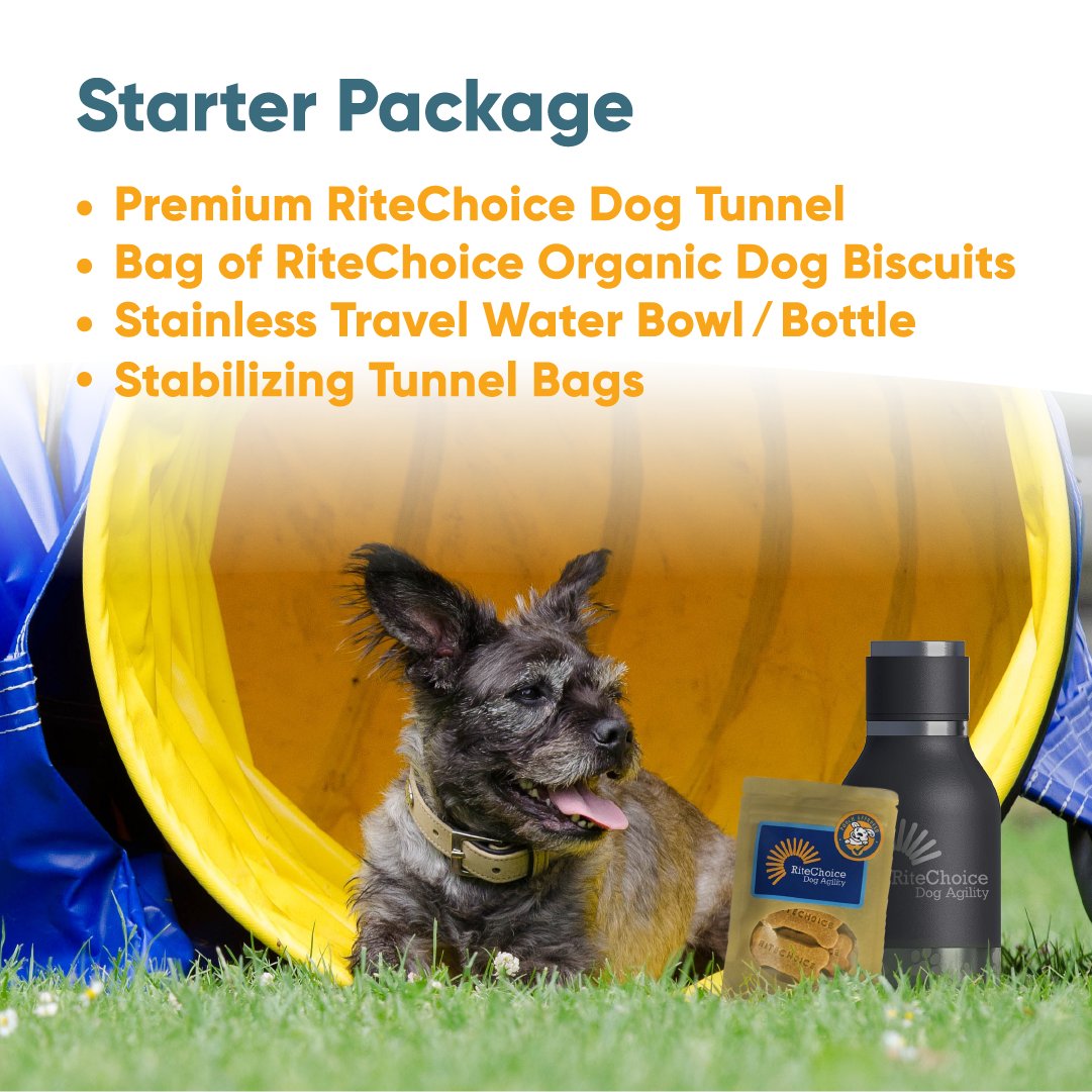 RCDogAgility's tweet photo. Get your dog ready for the summer with your dog agility starter pack!
https://t.co/41VGrg2AN7 https://t.co/YHgvLvgvG9