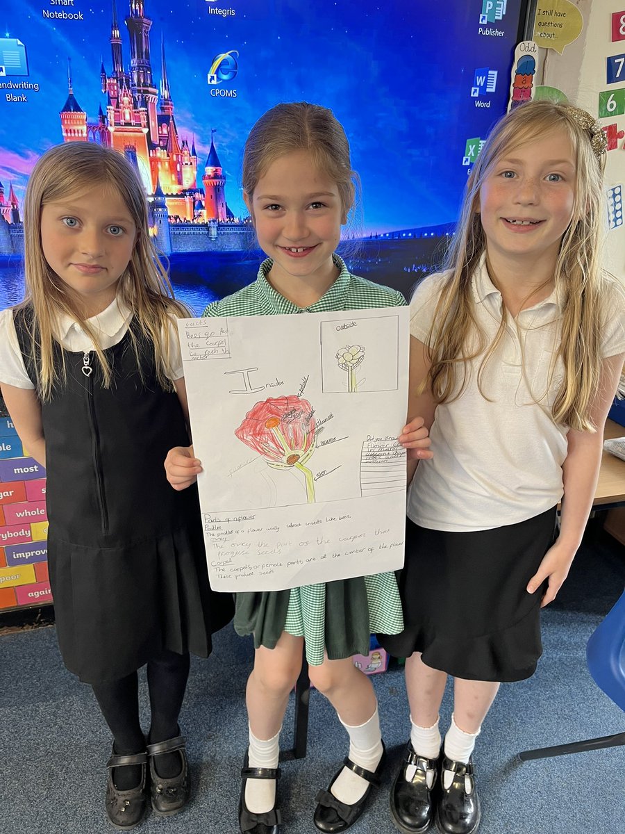 allsaintsfed's tweet photo. Scientists in 3J, this afternoon, were dissecting tulips to find the different parts such as anther, filament and style 🌷 They then created a poster to show what they had learned #ASFscience https://t.co/aheZtIkM7g