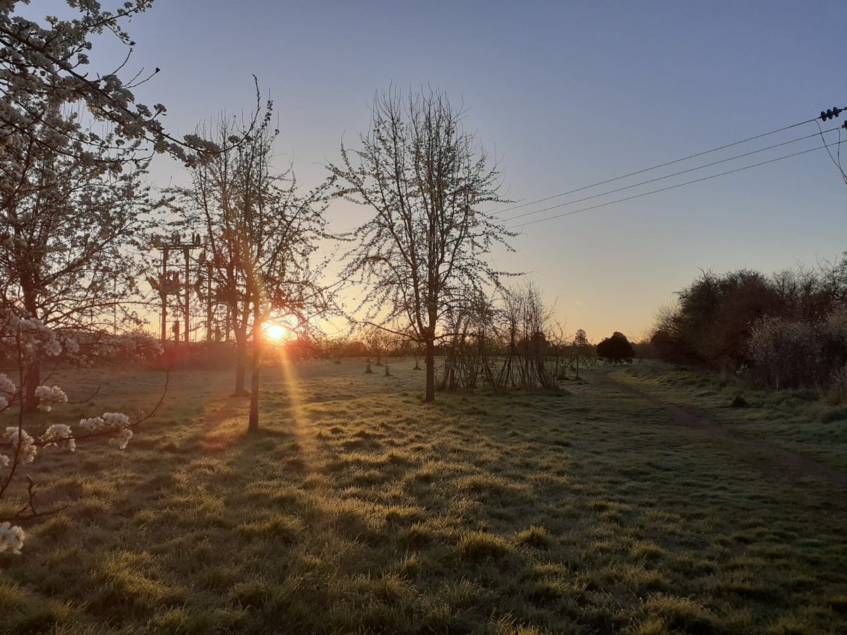It's been wonderful to see such a celebration of our glorious county today as part of <a href="/Somerset_Day/">Passion for Somerset</a>! 💛 Our team love nothing more than exploring our surroundings &amp; if you haven't already, check out #SomersetDay to see what #Somerset has to offer! robertcooney.co.uk