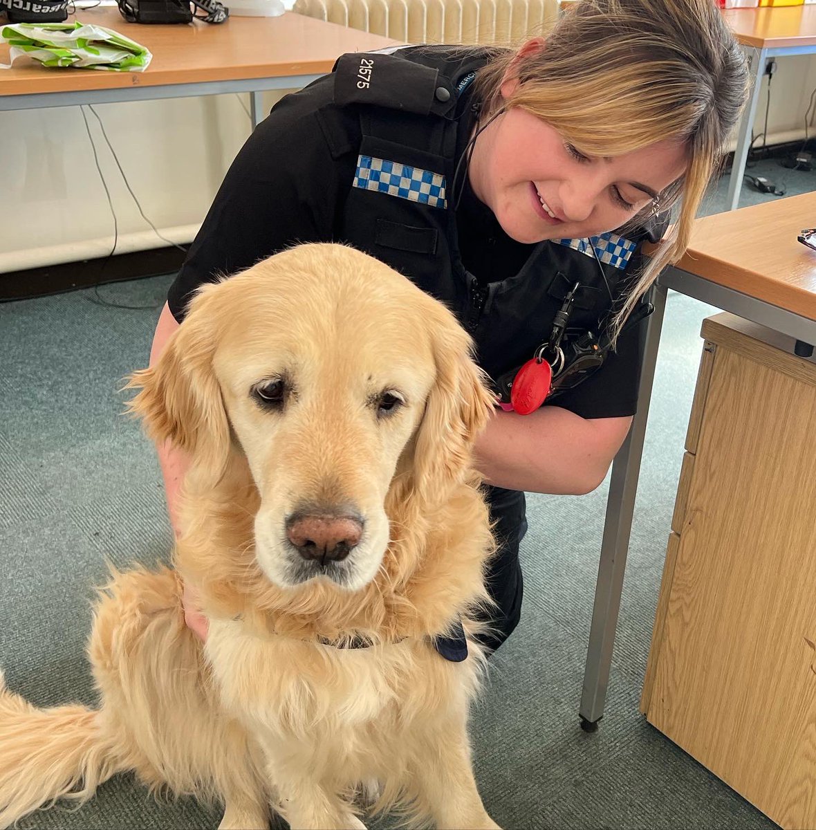 Rapha_Wellbeing's tweet photo. I absolutely loved meeting officers on A shift at Ledbury police station yesterday and was completely blown away they bought me a new toy and treats! Thank you🙏🏻
#pauseforpaws #MentalHealthMatters #mentalhealthawareness 
#oscarkilo9 #oscarkilouk #dogsofinstagram #goldenretriever https://t.co/KMDphUzCtA