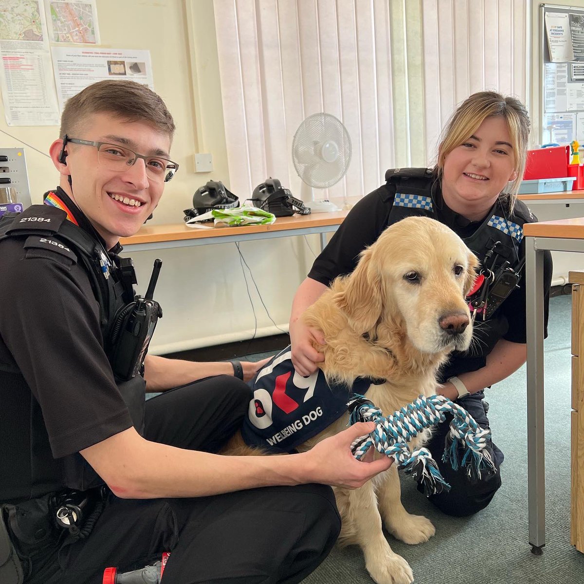 Rapha_Wellbeing's tweet photo. I absolutely loved meeting officers on A shift at Ledbury police station yesterday and was completely blown away they bought me a new toy and treats! Thank you🙏🏻
#pauseforpaws #MentalHealthMatters #mentalhealthawareness 
#oscarkilo9 #oscarkilouk #dogsofinstagram #goldenretriever https://t.co/KMDphUzCtA