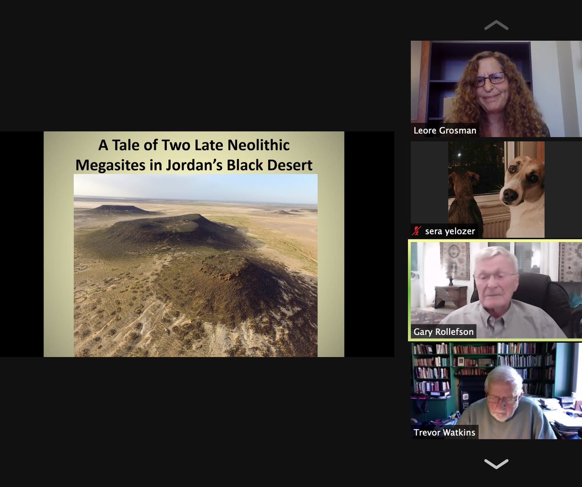 OnliNeolithic's tweet photo. Just started! The final talk of the second round 🥁

• A Tale of Two Late #Neolithic #Megasites in Jordan’s Black Desert • https://t.co/0sDdKq98fT