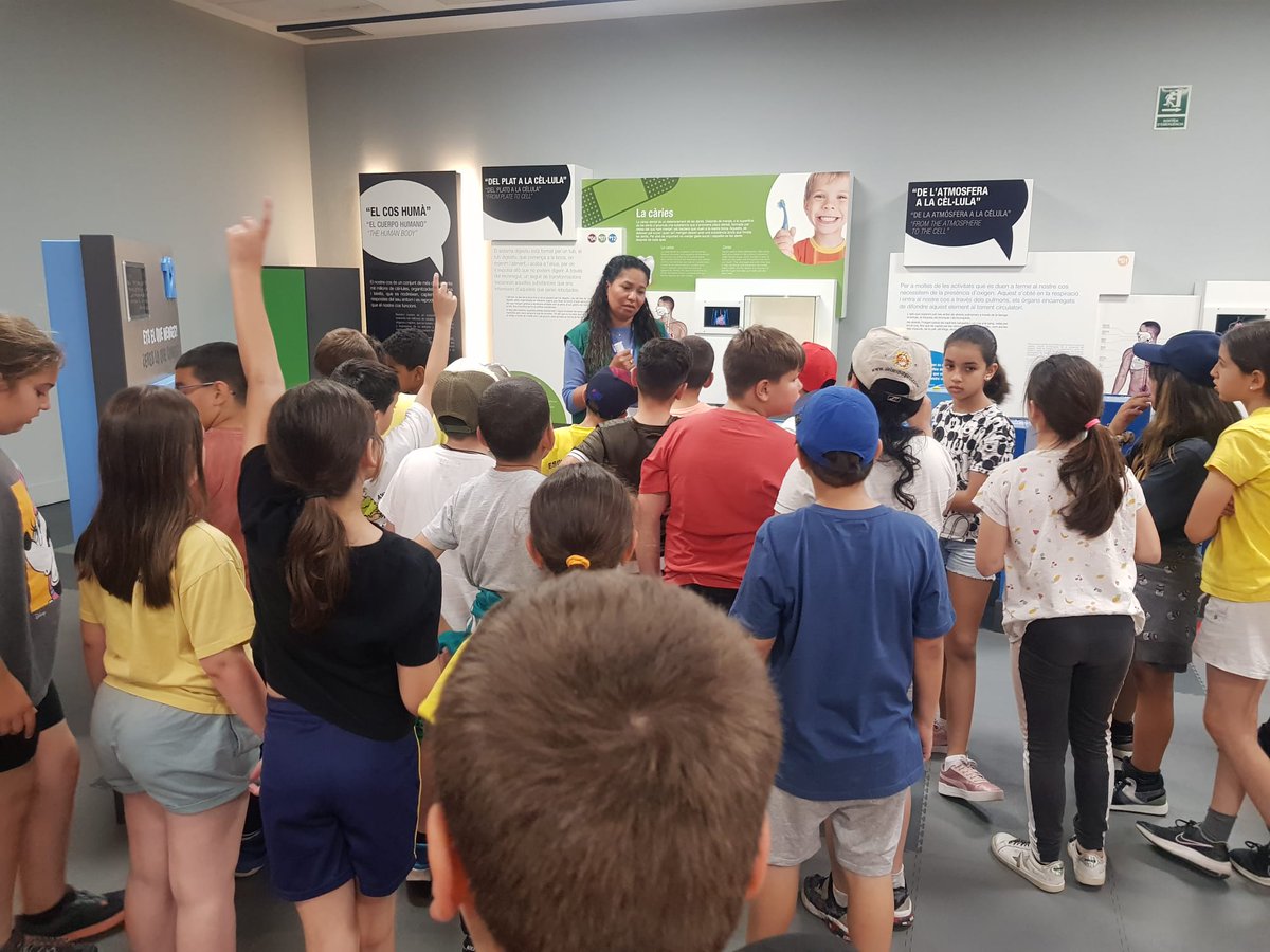 santjordi_svh's tweet photo. Els alumnes de CM avui he fet sotida i hem anat al @MNACTEC a Terrassa on hem fet un taller de: Com sóc jo?
Hem après moltes coses que ens ajudaran per continuar treballant en els nostres projectes! #projectes #SantJordiSVH #EntornEducatiuSVH #PEE020 https://t.co/au2o6tTLCo