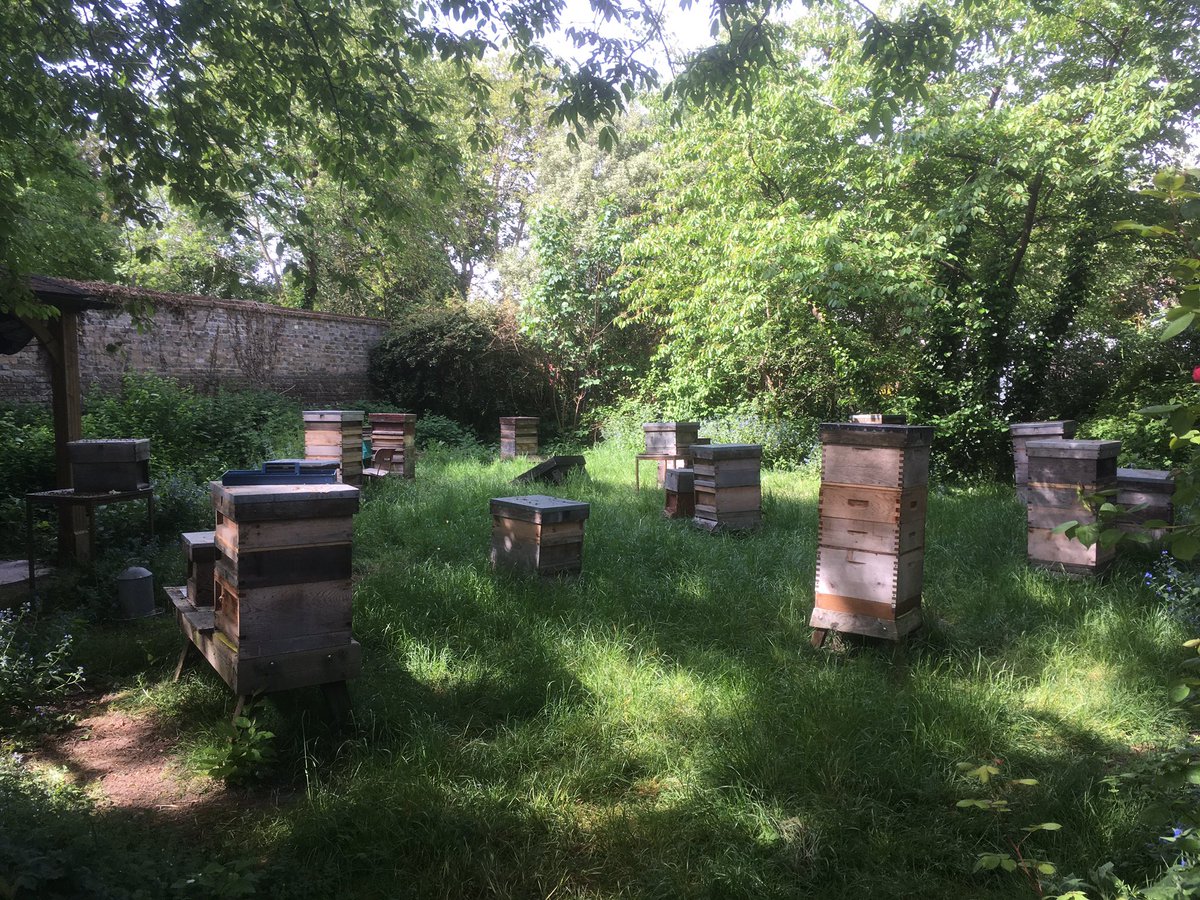 TTVBKA's tweet photo. Last year we were struggling to have enough colonies. What a difference a year makes. https://t.co/w1CcchrSKn