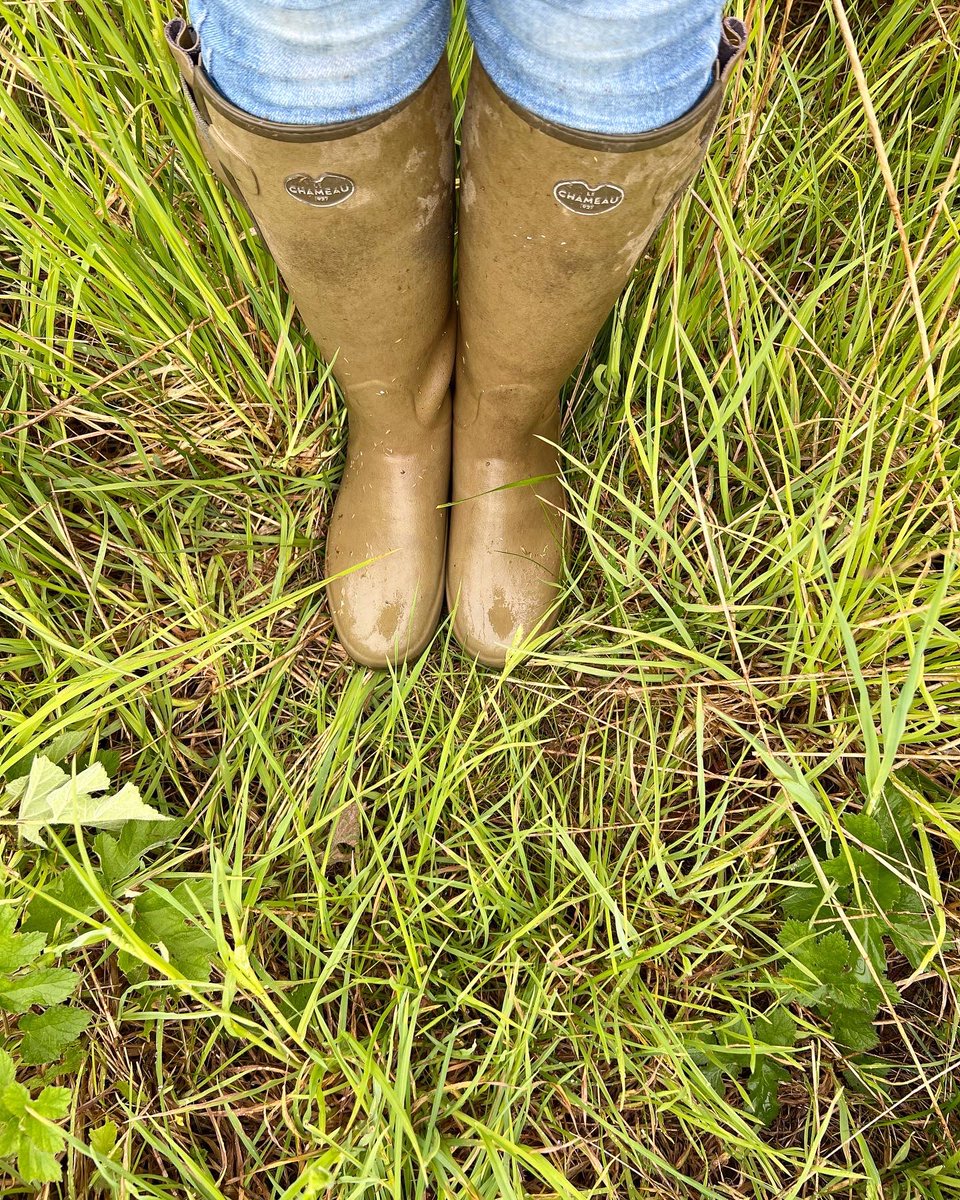The face (&amp; feet) of a soggy / happy farmer! What a fabulous rainy day at last! 🌧