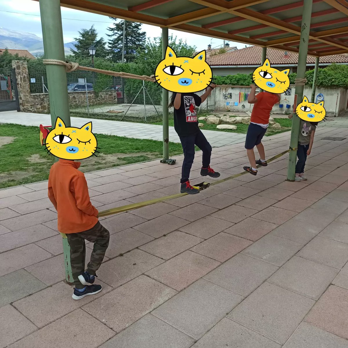 GeorgePhysical's tweet photo. Comenzamos Actividades Físicas en la Naturaleza estrenando el montaje de un puente de mono!!! @cole_rascafria https://t.co/OO6LDSBwyH