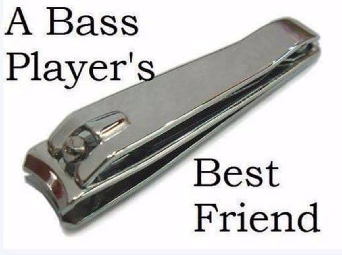 BassMagOnline's tweet photo. https://t.co/0CVCTemCYM