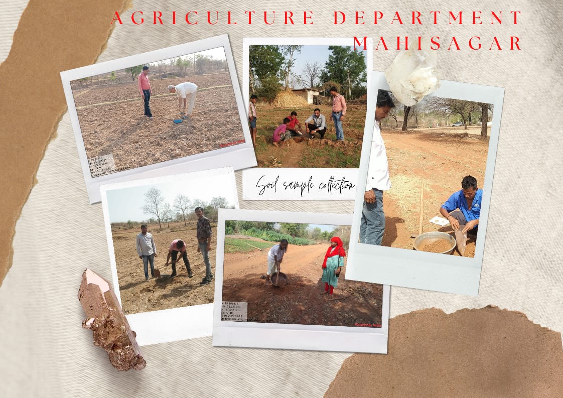 Mahisagargrams1's tweet photo. માન. પ્રધાનમંત્રીશ્રીની ફ્લેગશીપ યોજના એવી SHC યોજનામાં મહીસાગર જિલ્લાના વિરપુર તાલુકાનાં ગામોમા ખેતીવાડીના ગ્રામસેવકશ્રી દ્વારા માટીના નમૂના લેવાની કામગીરી.  @RaghavjiPatel  
@GujAgriDept @Guj_Gramsevak @DDOMAHISAGAR @Jrpatel28Patel https://t.co/WP8WC4gtBu
