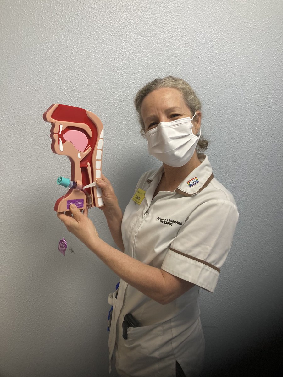 North Mid Speech & Language Therapy tweet media