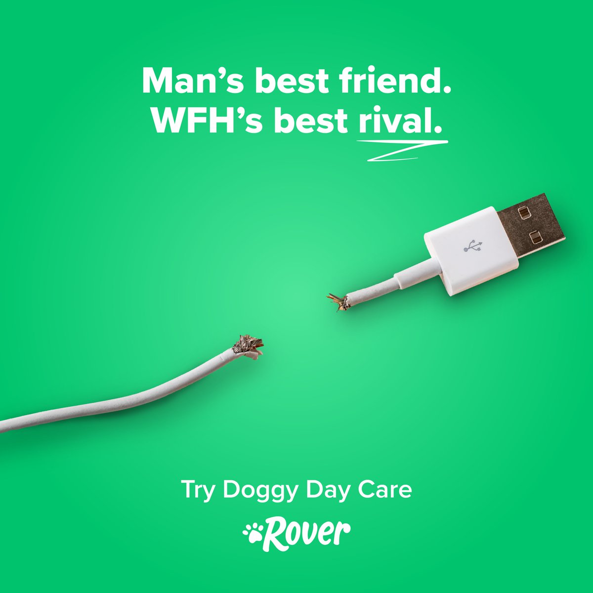 spin_brands's tweet photo. Another day, another entry to @oneminutebriefs.
Todays challenge: advertise #DoggyDayCare
How do you think our team did?
#SpinBrands #OneMinuteBriefs #CreativeIndustry https://t.co/PIhBll5GUi