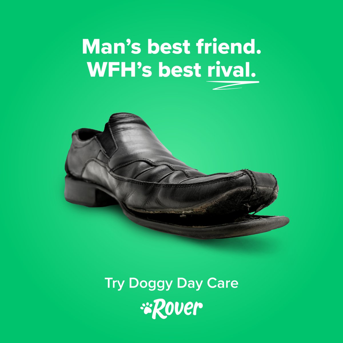 spin_brands's tweet photo. Another day, another entry to @oneminutebriefs.
Todays challenge: advertise #DoggyDayCare
How do you think our team did?
#SpinBrands #OneMinuteBriefs #CreativeIndustry https://t.co/PIhBll5GUi