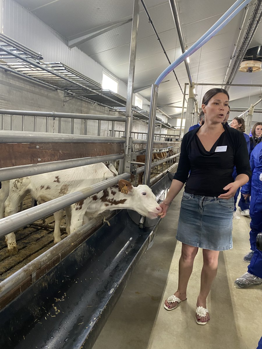 INTERBEV BRETAGNE tweet media