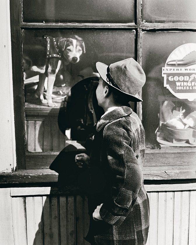 Can I take him home? 1939 photo by Alfred Watson.
Dormont, Pennsylvania.

#blackandwhitephotography 
#thegreatDepression