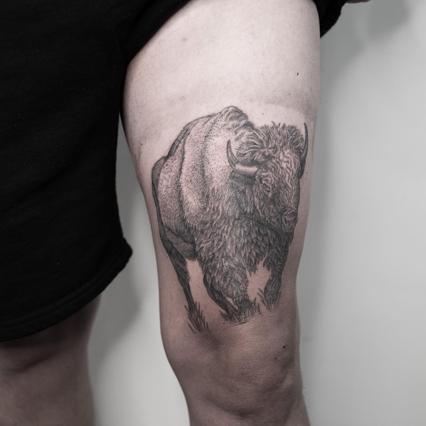 Bison Tattoos Symbolism Meanings  More