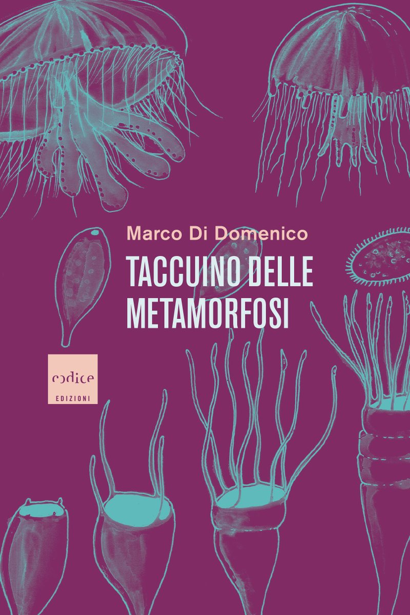 Radio3 Scienza (@radio3scienza) on Twitter photo #Ovido, #PrimoLevi, #Kafka. Ma anche #Aristotele, #MariaSibyllaMerian, #GiovanBattistaGrassi.
Domani alle 11.30 andiamo alla scoperta della #metamorfosi con #MarcoDiDomenico, sfogliando "#Taccuino delle metamorfosi" appena uscito per <a href="/codice_edizioni/">Codice Edizioni</a> #Ovido, #PrimoLevi, #Kafka. Ma anche #Aristotele, #MariaSibyllaMerian, #GiovanBattistaGrassi.
Domani alle 11.30 andiamo alla scoperta della #metamorfosi con #MarcoDiDomenico, sfogliando "#Taccuino delle metamorfosi" appena uscito per <a href="/codice_edizioni/">Codice Edizioni</a>