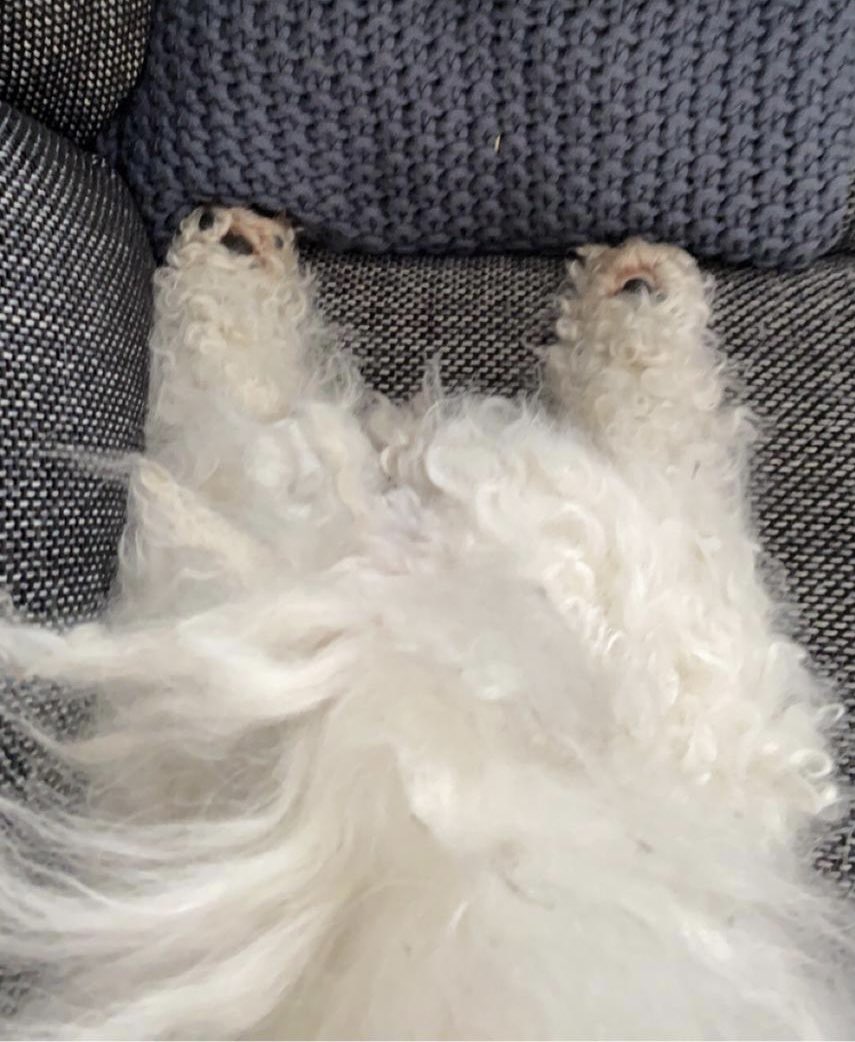 Kun sun fiilis on jo keskiviikkona tämä 🙄