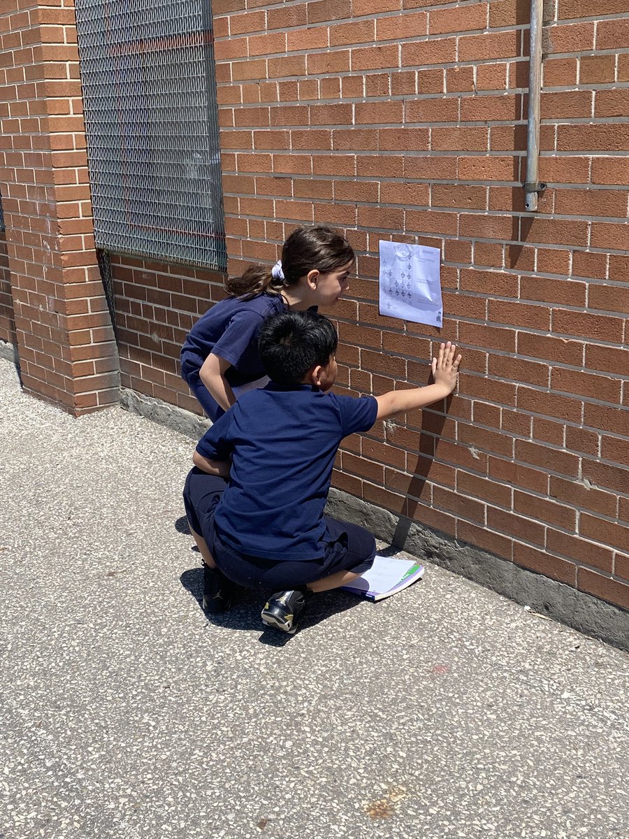 Ms_Marcoccia's tweet photo. This afternoon the grade 1/2 students read different graphs around the schoolyard and recorded their findings! @TCDSB https://t.co/n3flFDLtiz