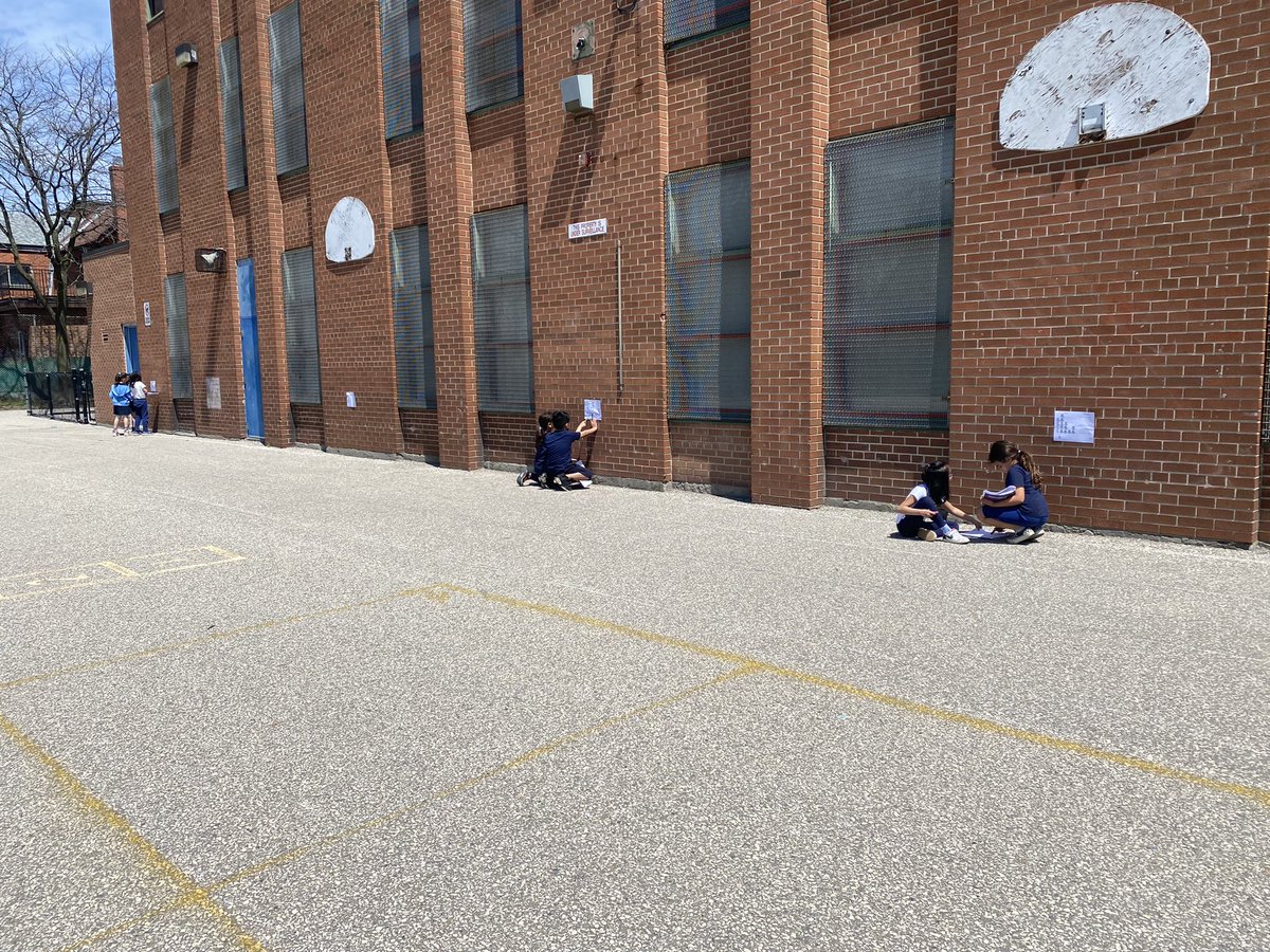 Ms_Marcoccia's tweet photo. This afternoon the grade 1/2 students read different graphs around the schoolyard and recorded their findings! @TCDSB https://t.co/n3flFDLtiz
