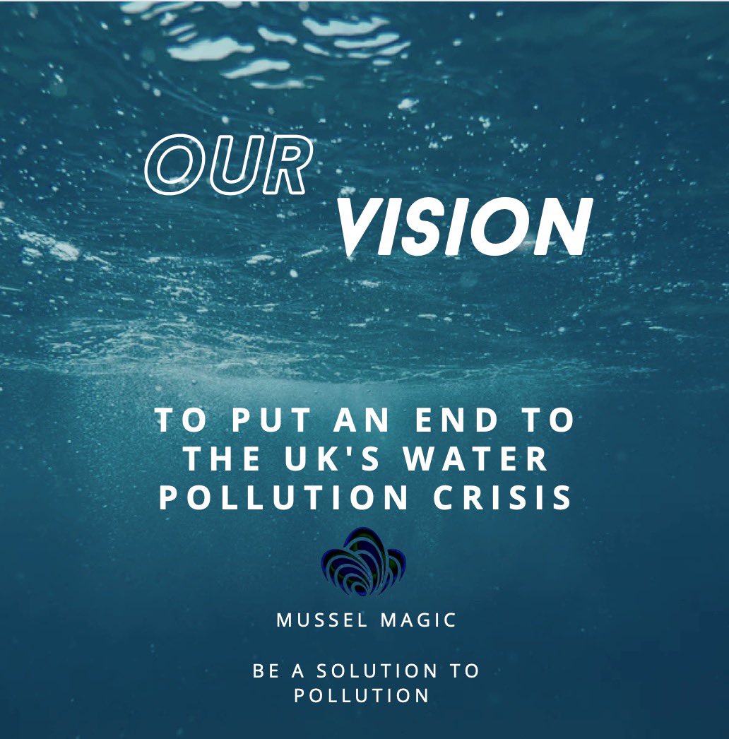 MusselMagic's tweet image. Our vision here at Mussel Magic #SolutionToPollution