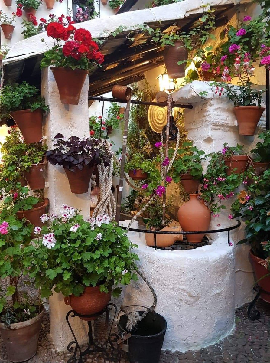 Cordoba_spain's tweet photo. ❤️ Qué suerte la nuestra...

#PatiosDeCórdoba https://t.co/ptlq1bzF9n