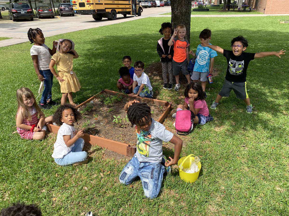 epolomskyprek's tweet photo. Our sunflowers are twice as tall. Our tomatoes are growing taller, too. We even have basil and peas. π€©ππ» So proud of my little gardeners. #MBEUnity
#mbeisfamily
#mbebears
#mbebears2021
#lighttheway
@HumbleISD_PREK
@HumbleISD_MBE https://t.co/n27GlFNhoD