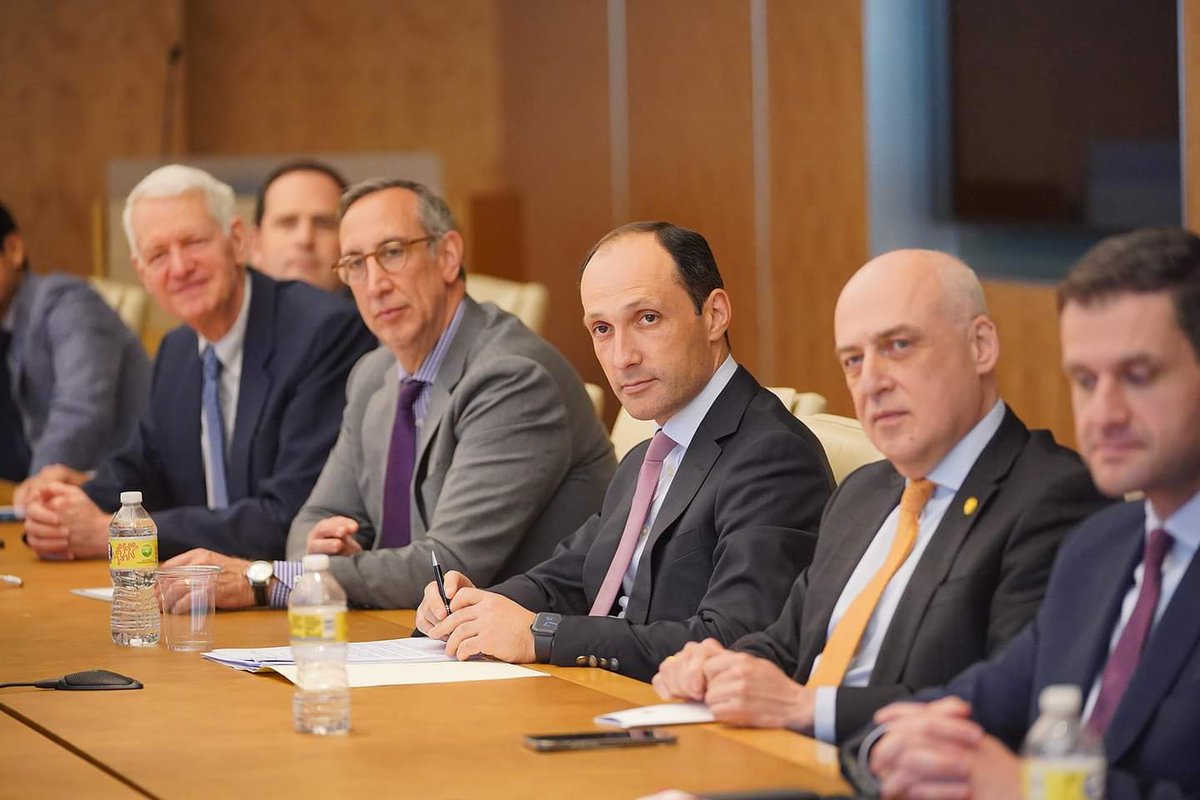 David Zalkaliani tweet media