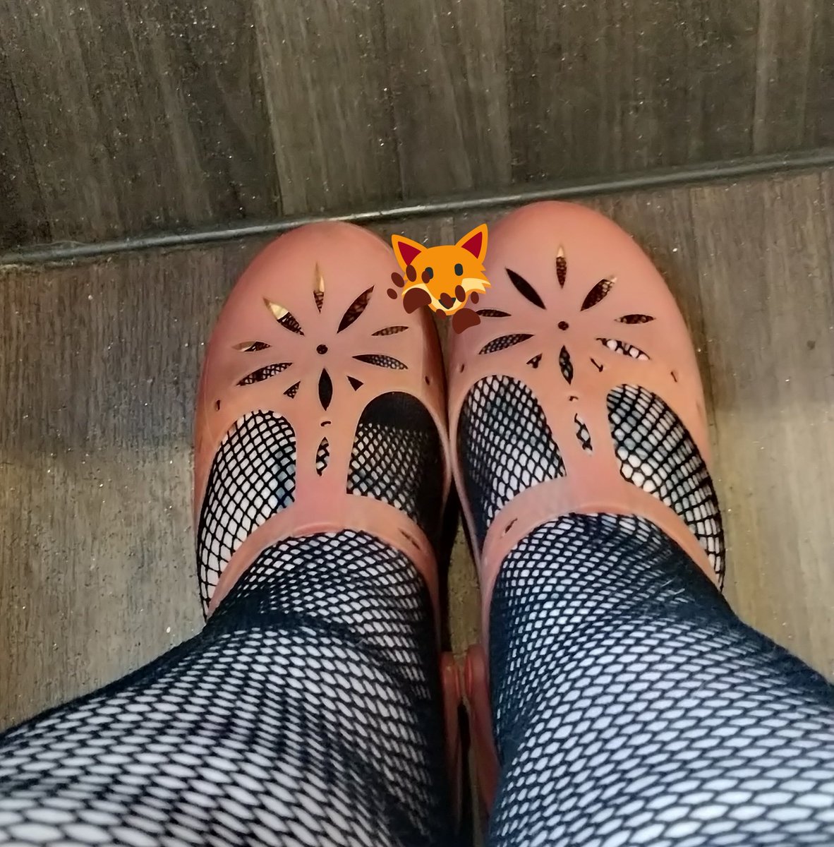 VixensPaws's tweet photo. Jellies and fishnets 🤔
Not sure how I feel about them.
Thoughts? 
#bbwfeet #fishnets #jellyshoes #FOOTFETİSH #bbwfootfetish https://t.co/7fpis5gchd