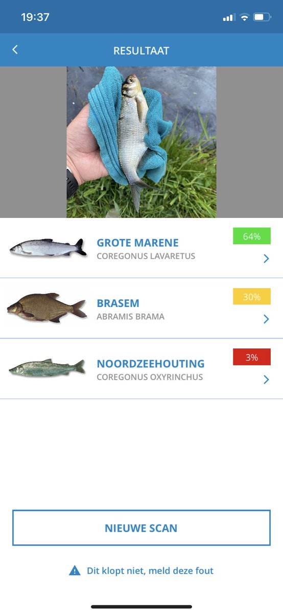 Emrys18071's tweet photo. @Marco_Kraal Dag Marco, een vraagje over een vis die ik heb gevangen. Is dit daadwerkelijk een Grote Marene? Of is dit een andere vis? Ben erg benieuwd 😄. https://t.co/TONyX8xKvz