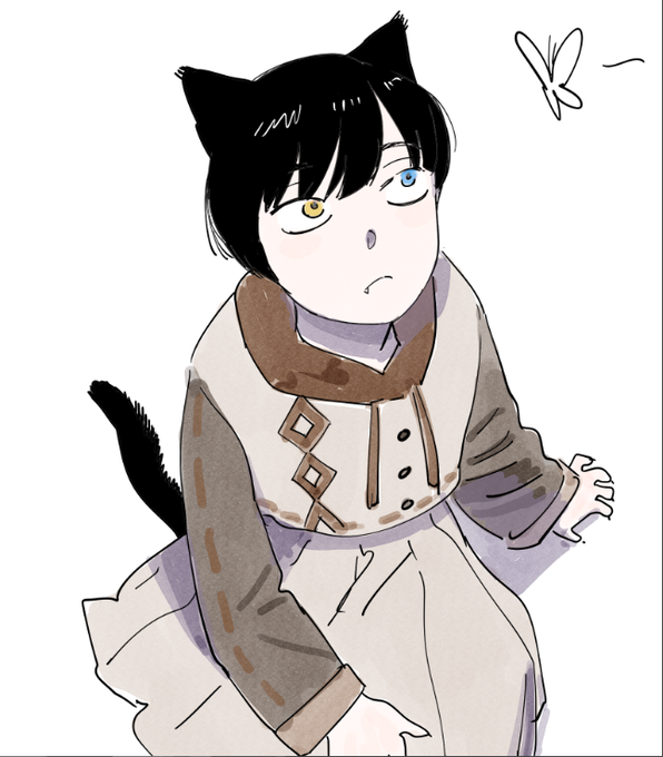 動物 