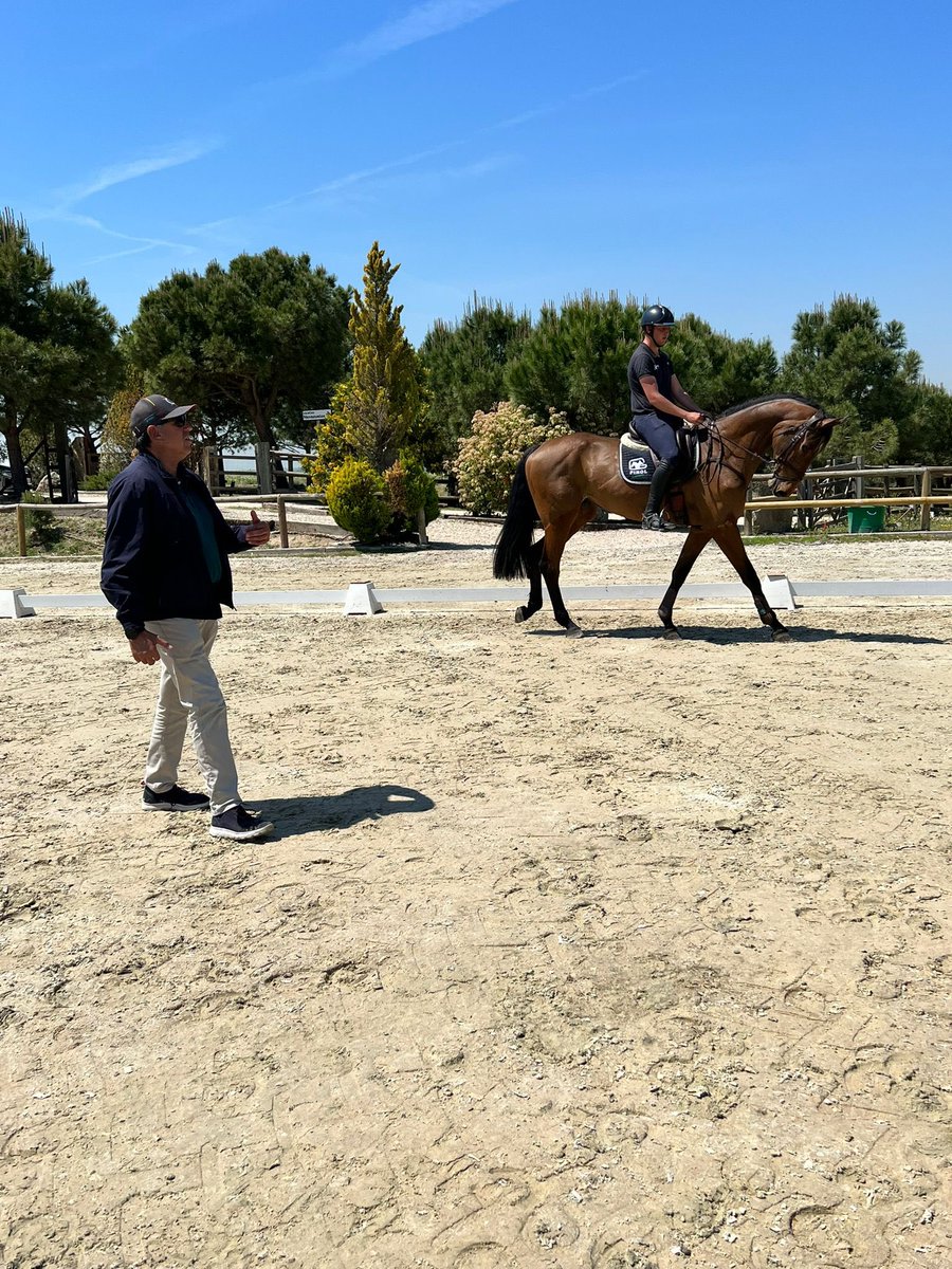rfhe_'s tweet photo. Termina el clinic programado para hoy de completo, en Los Navazuelos - Madrid 👏🏼🥳
Felicidades a todos los binomios por trabajar tan profesionalmente 👌🏽
#RFHE #Completo #CompletoEspaña #ClinicCompleto #LosNavazuelos #TeamCompleto @deportegob https://t.co/HqiAgMgKuQ
