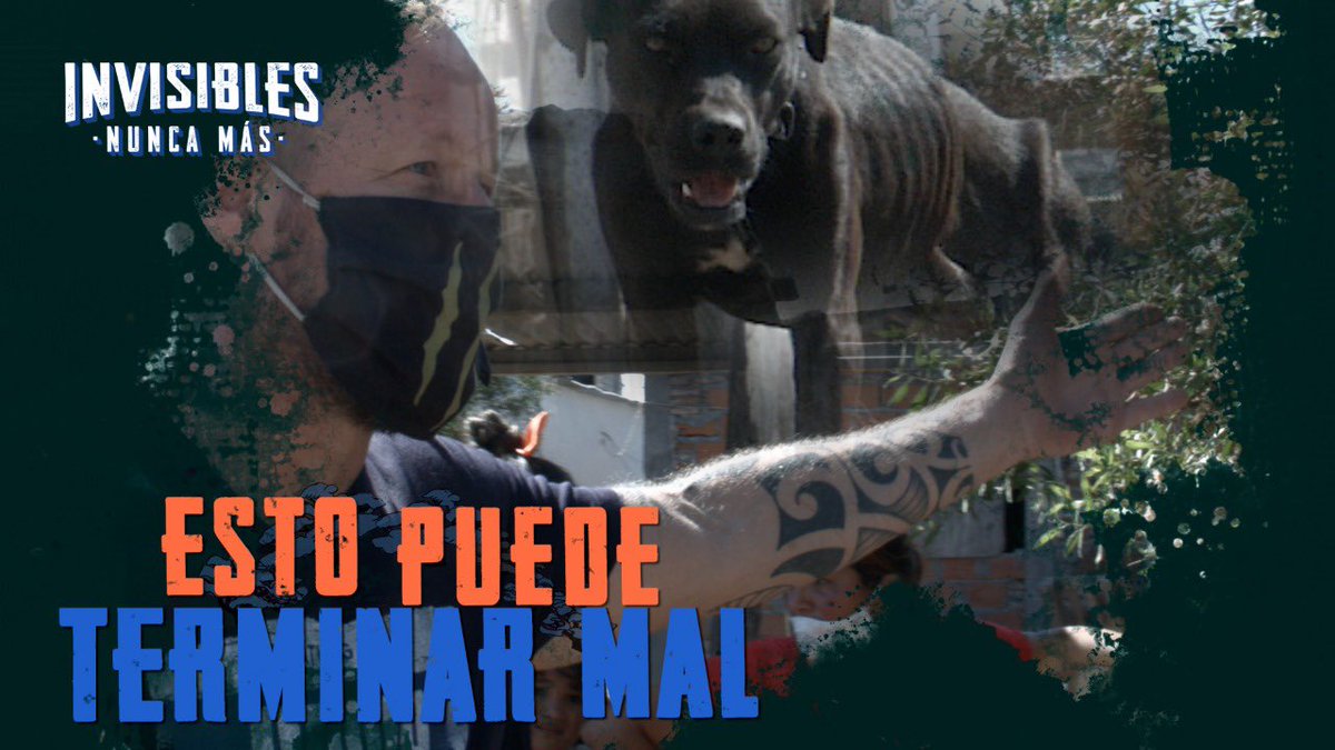 canichones's tweet photo. Ya estamos con el CAPITULO5 en nuestro CANAL de YouTube !!! 

No te lo pierdas !!! Tremendo rescate de TOBY !!! Lo sacamos de la basura y de la miseria humana !!! 

https://t.co/S44F6kijRn

Seguinos!! Recomendanos !! Y regístrate en nuestro Canal (es completamente Gratuito) https://t.co/PcnB2U2B1p