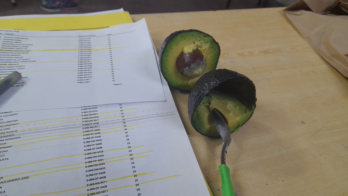 LiluzLisam's tweet photo. Una compañera me trajo una palta para almorzar. Eso es aguante!Hoy se fiscaliza, se defienden los votos de la #Multicolor en #Suteba #SutebaMulticolor #LaMatanza https://t.co/RO0qLgBVVO