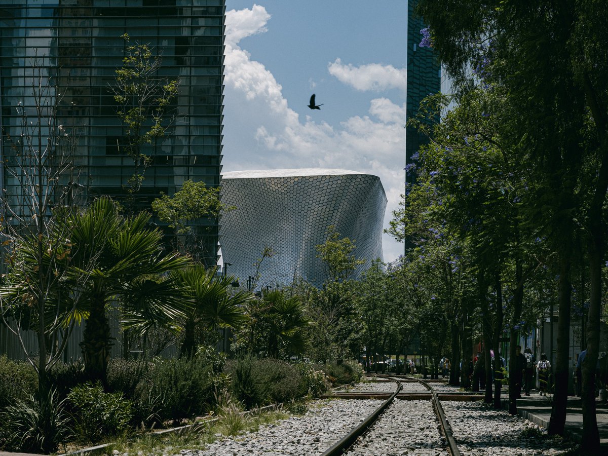 Shiiiipka's tweet photo. Hola, soy Shiiiipka y hago foto de calle o Street Photography. Saludos!🤟
#photography #streetphotography https://t.co/GcYQTIGPo2
