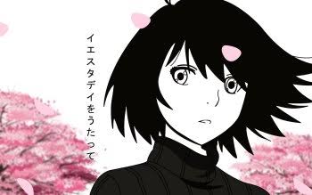 DailyNonaka's tweet photo. https://t.co/xorDpOZIWK
