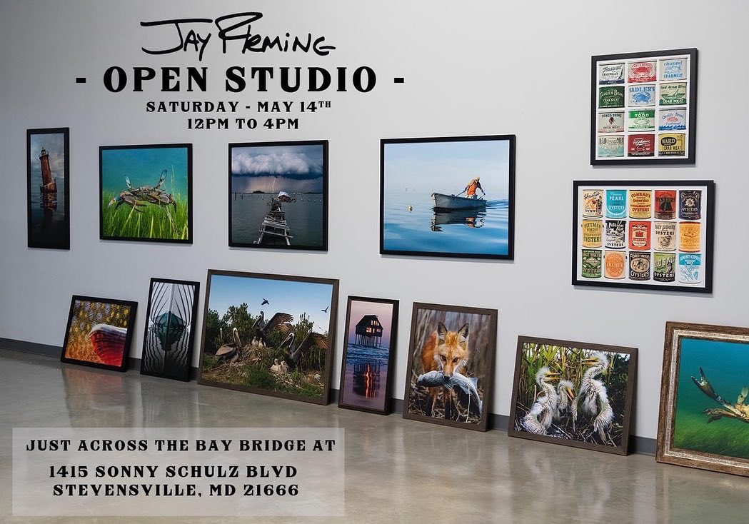 JayFlemingPhoto tweet picture