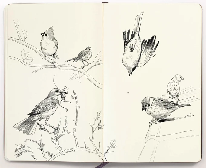 How I create these type of sketches. Check image Nr2 for explaination. I draw these with the digital pencil brush you can get in my store (link in bio) 