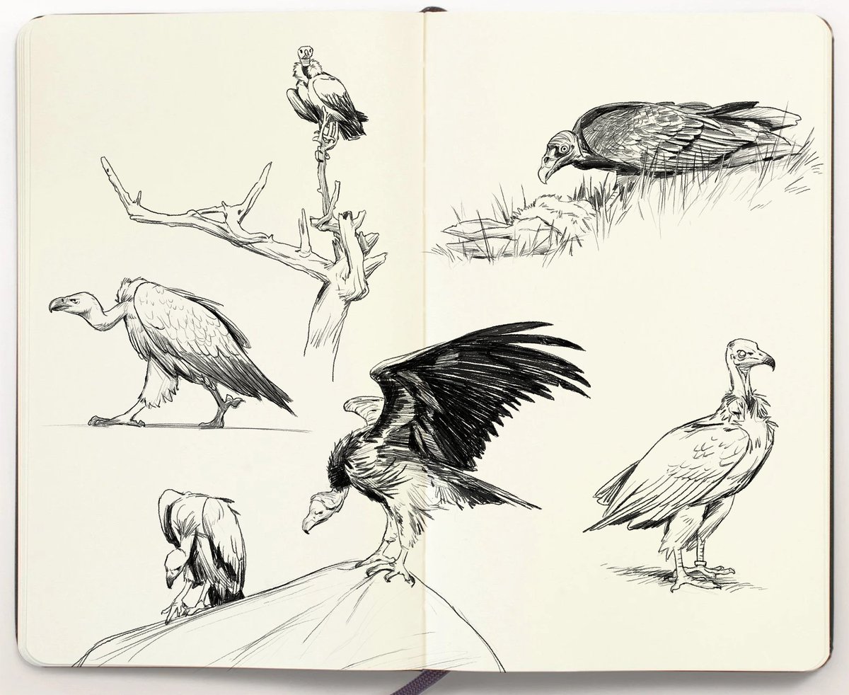 How I create these type of sketches. Check image Nr2 for explaination. I draw these with the digital pencil brush you can get in my store (link in bio)