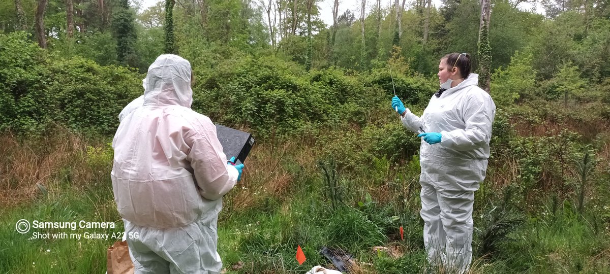 forensicento's tweet photo. Field trip for my 3rd year  #forensicentomology students. It was wet, smelly but very beetley https://t.co/ULAWw0kUIR
